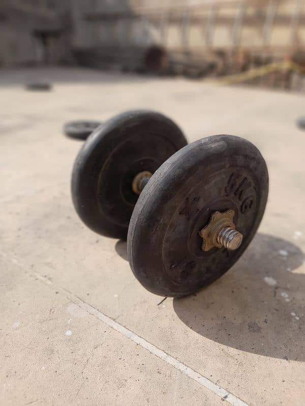 Bench , Barbell Bar , Dumbells , weights 10