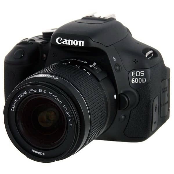 Canon EOS 600D with Sigma Zoom 100-300mm 1