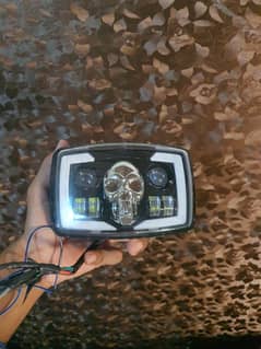 Skull Headlight New