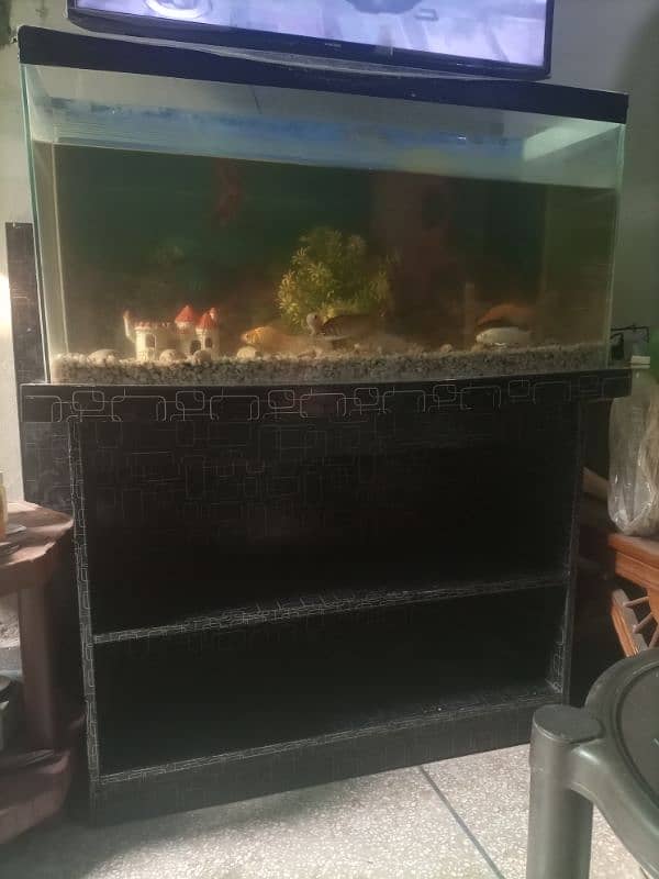 Fish Aquarium With 9 Fishes 0