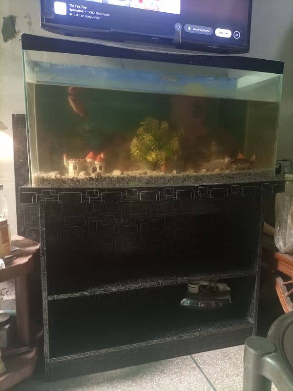 Fish Aquarium With 9 Fishes 1