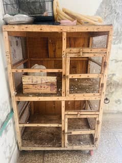 hen and pegion cage