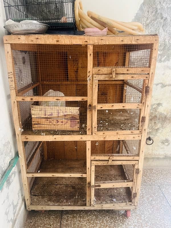 hen and pegion cage 0