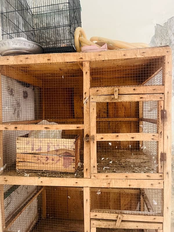 hen and pegion cage 3