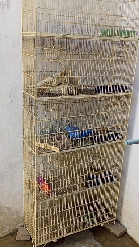 cage 5 portion urgent sale 1