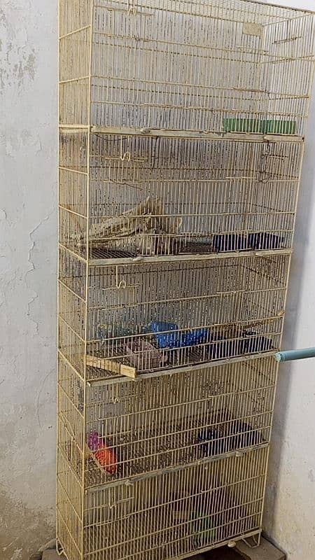 cage 5 portion urgent sale 2