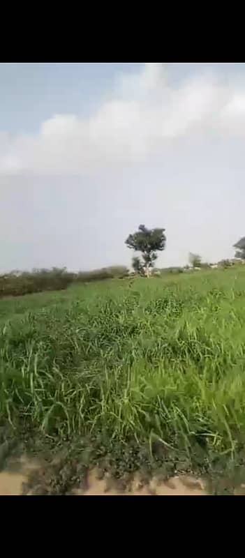 120 Kanal Agricultural Land For sale In Beautiful Bahawalpur Road 2