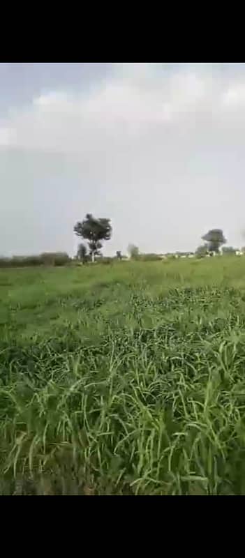 120 Kanal Agricultural Land For sale In Beautiful Bahawalpur Road 3