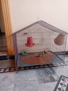 Cage for Birds