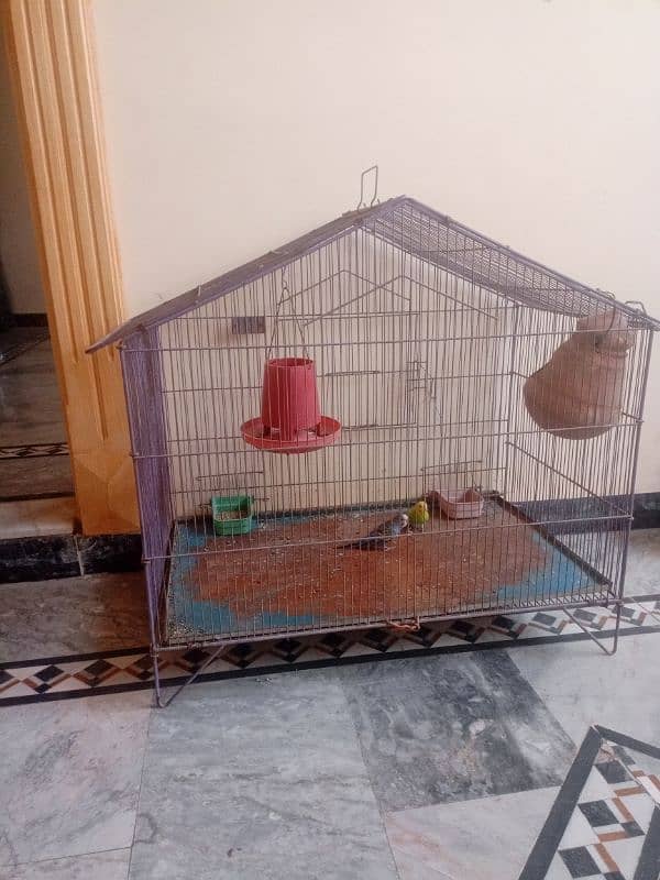 Cage for Birds 0