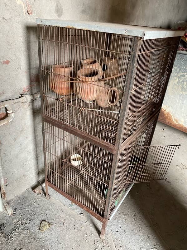 bird Cage For Sell 1