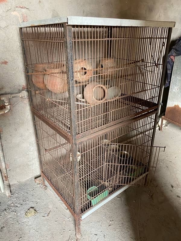 bird Cage For Sell 2