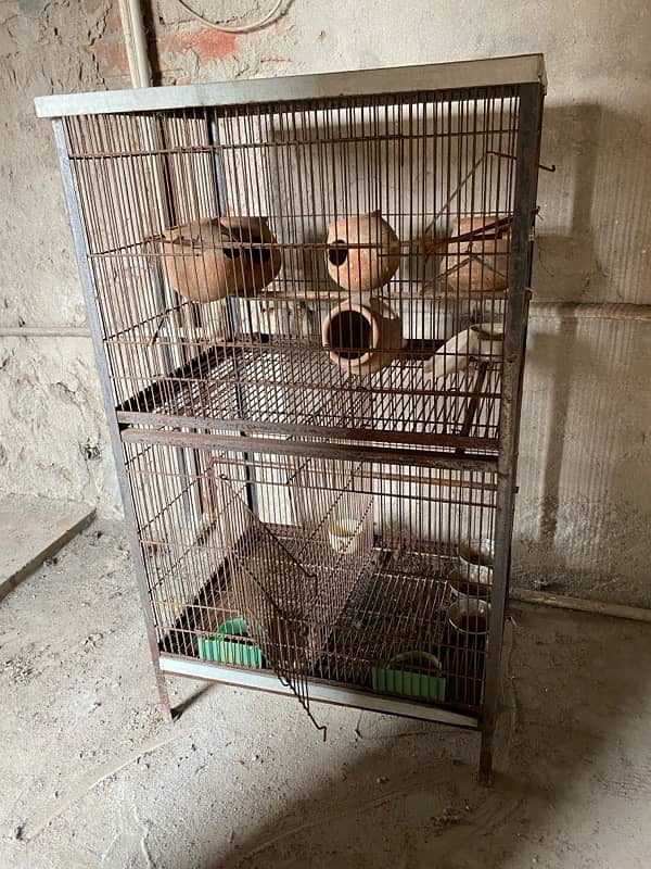 bird Cage For Sell 3