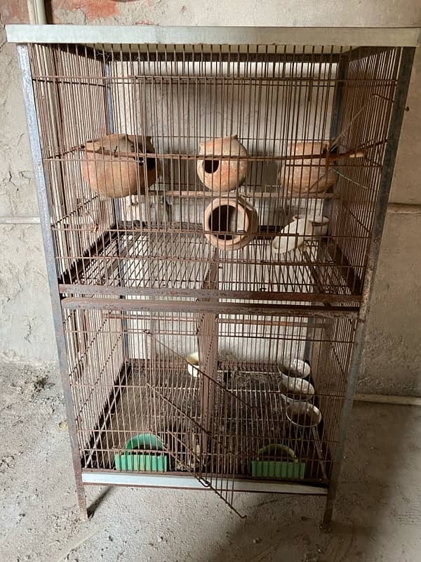 bird Cage For Sell 4