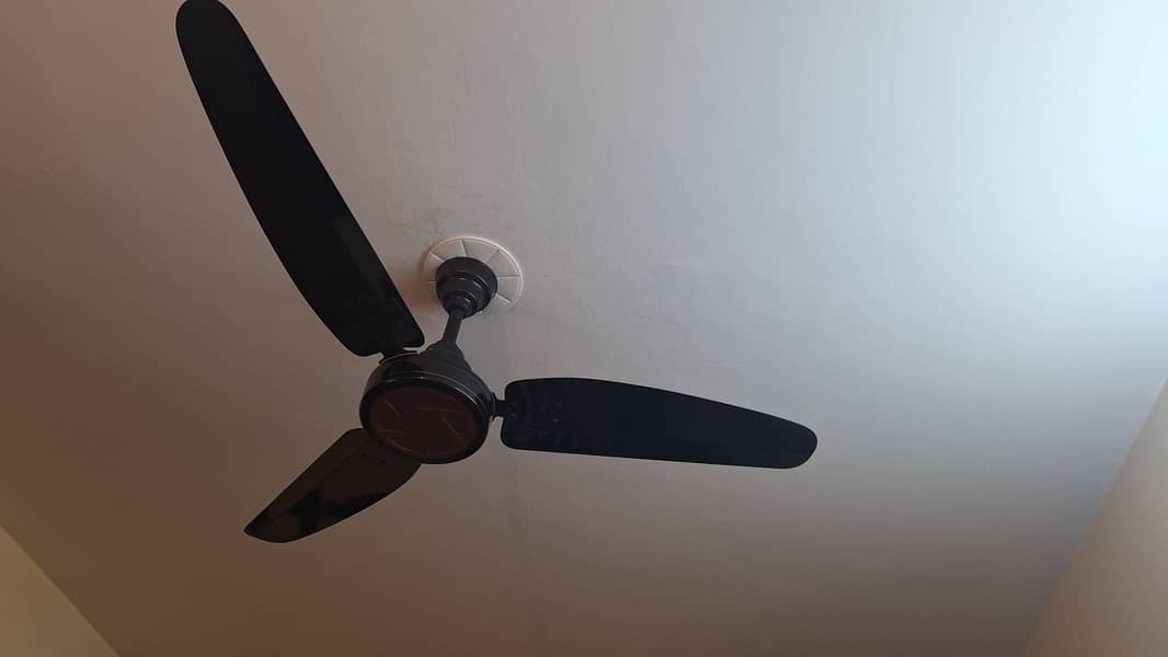 Celing fans | Induction motor fan 4