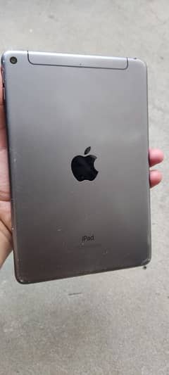 ipad mini 5 256 GB