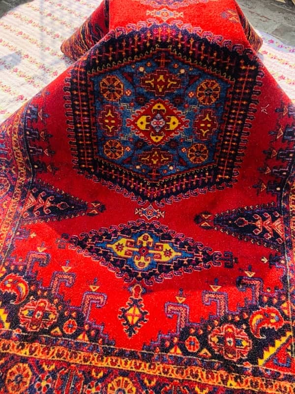 Irani Rugs and Carpets 14