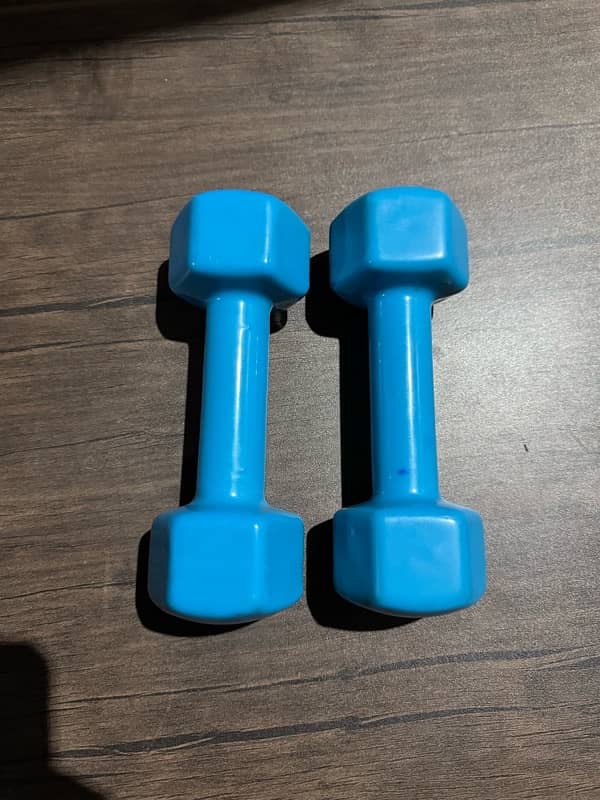 LiveUp Vinyl Dumbbells (2 x 2kgs) 2