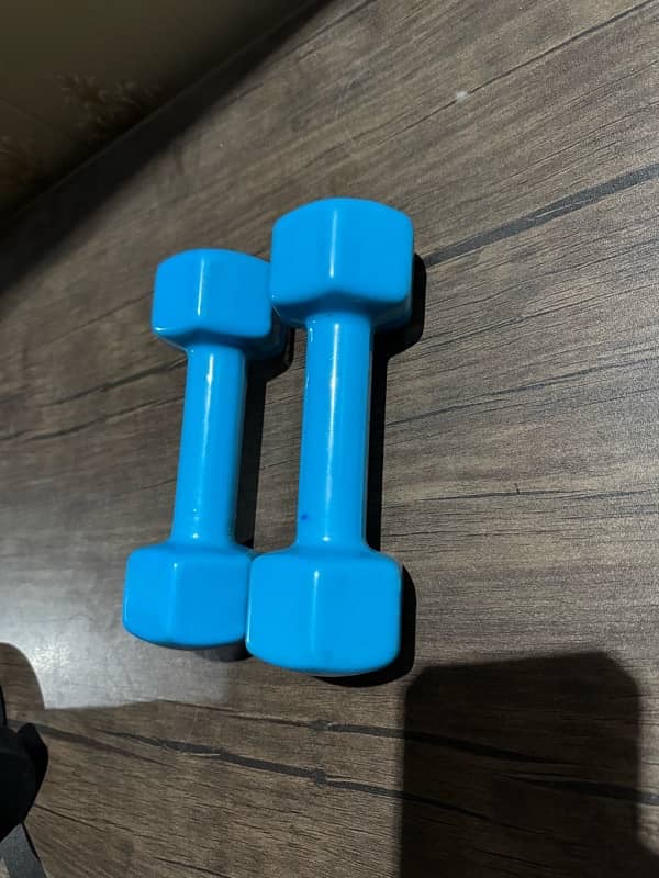 LiveUp Vinyl Dumbbells (2 x 2kgs) 3