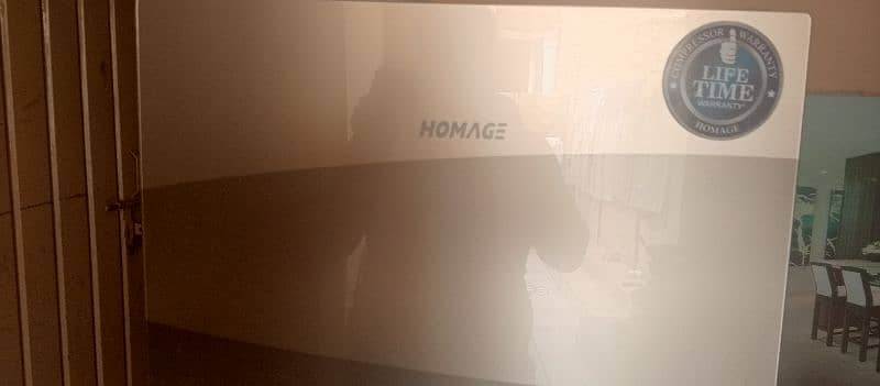 homege company 1