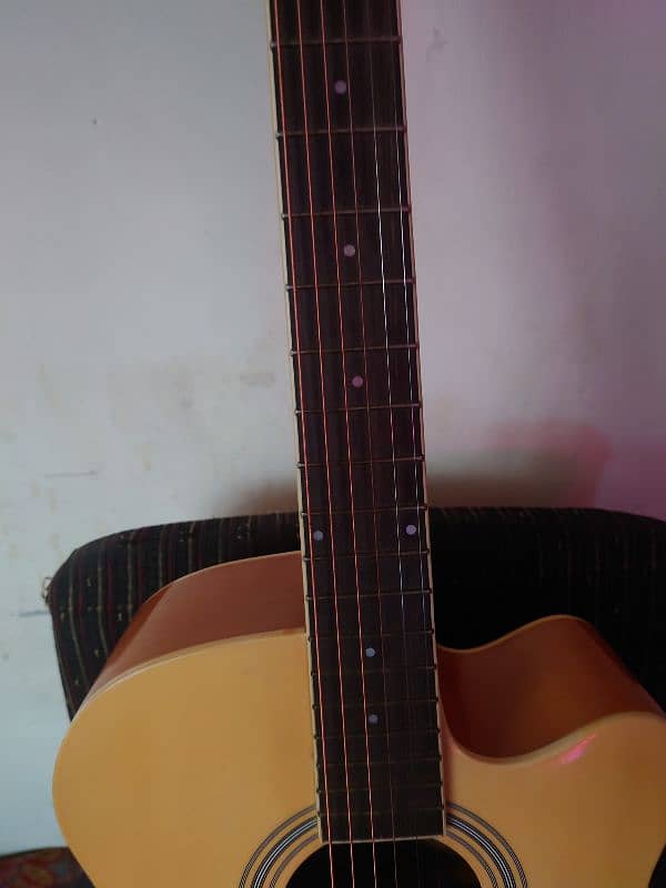 Aucostic Guitar 1