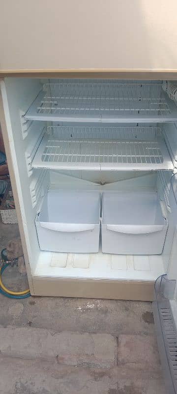 Pel full saiz ka fridge 6