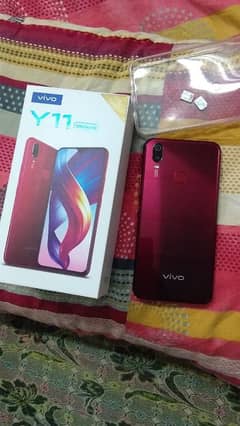 Vivo