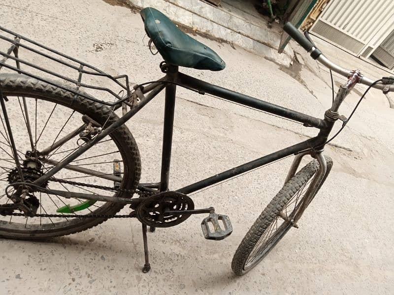 Phoenix Bicycle for sale 1