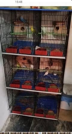 birds cage new hai only 2 month use hai rs 6000