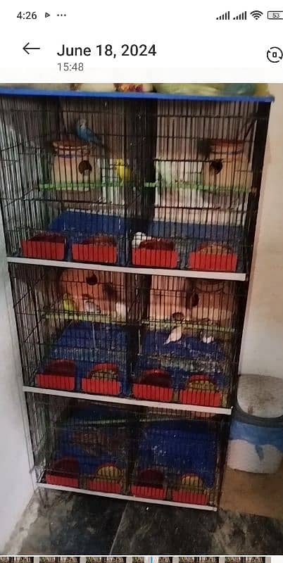 birds cage new hai only 2 month use hai rs 6000 1