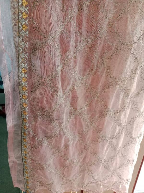 Net dubata with beautiful embroidery 1