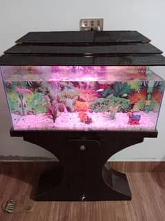 fish Aquarium 03156740541