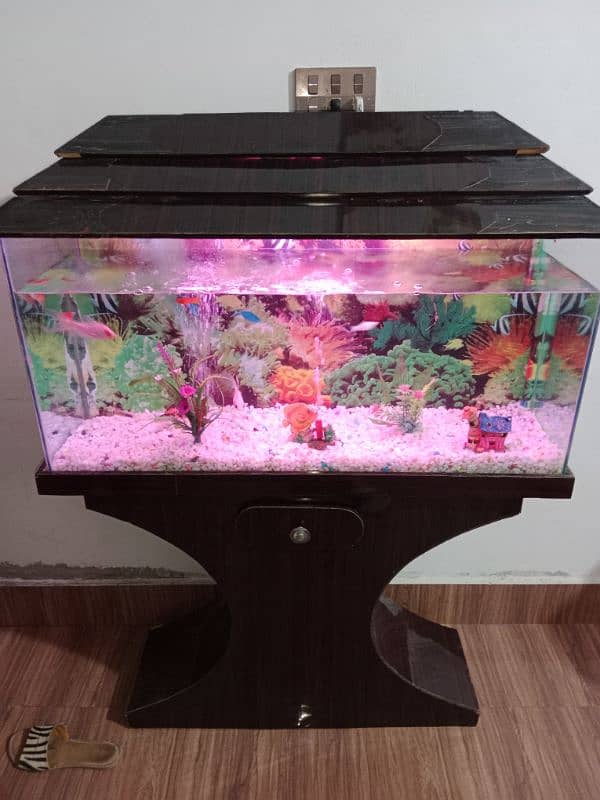 fish Aquarium 03156740541 0