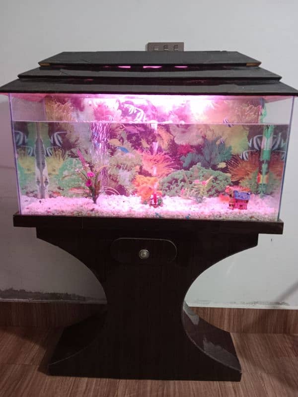 fish Aquarium 03156740541 10