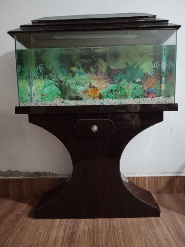 fish Aquarium 03156740541 12