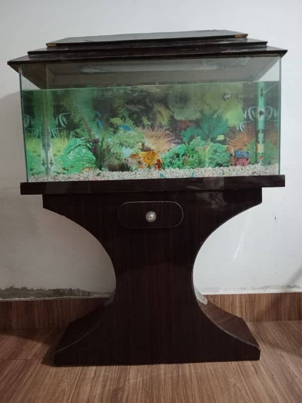 fish Aquarium 03156740541 13