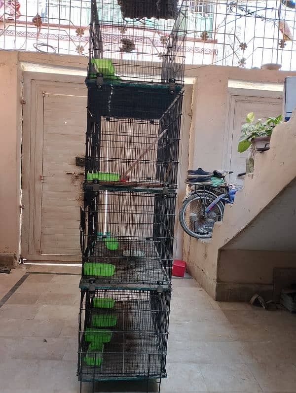 Mater folding cage 2