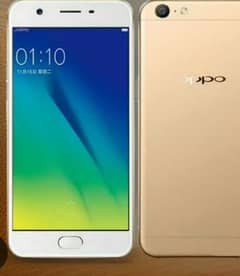 oppo