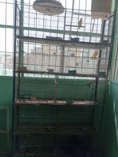 10 portion cage