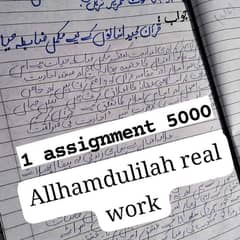 Handwritten Assignment Content Writing And Data Entry Work