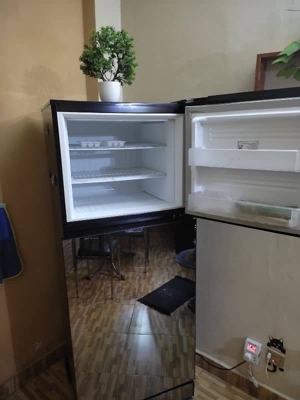 PEL Refrigerator PRGD-PMI-145M Glass Door 5