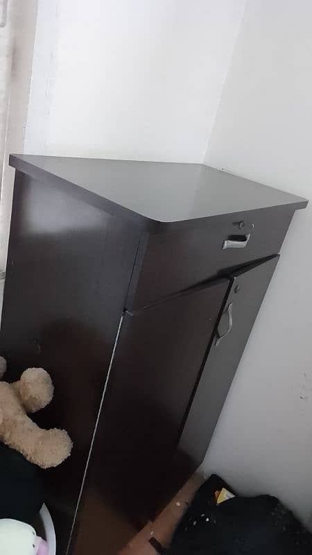 Brown Colored Cabinet 3