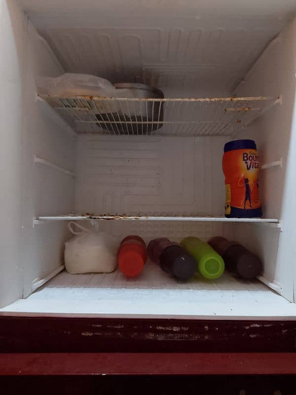 PEL fridge 2