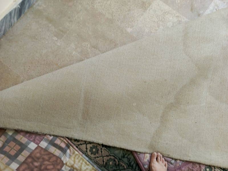 carpet for sale 5