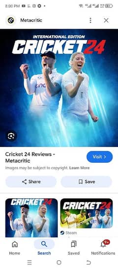 cricket 19 for pc