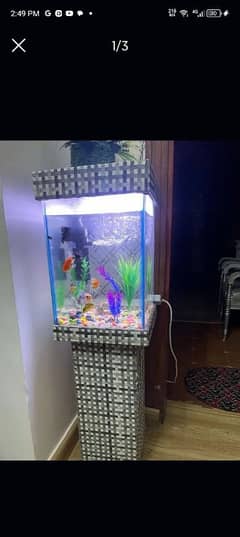 aquarium tank goldfish fancy big aquarium 2foot 10gallon