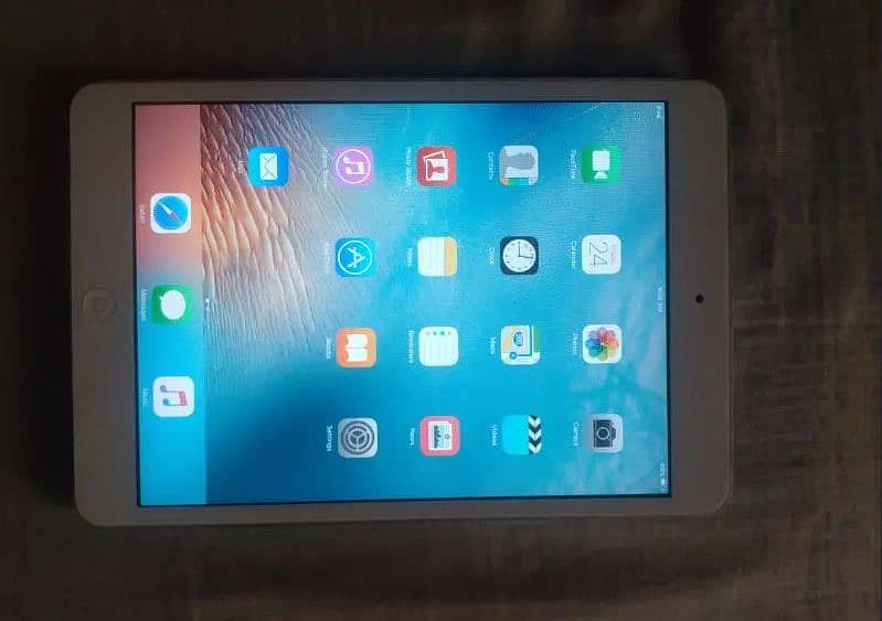 Ipad Mini 2