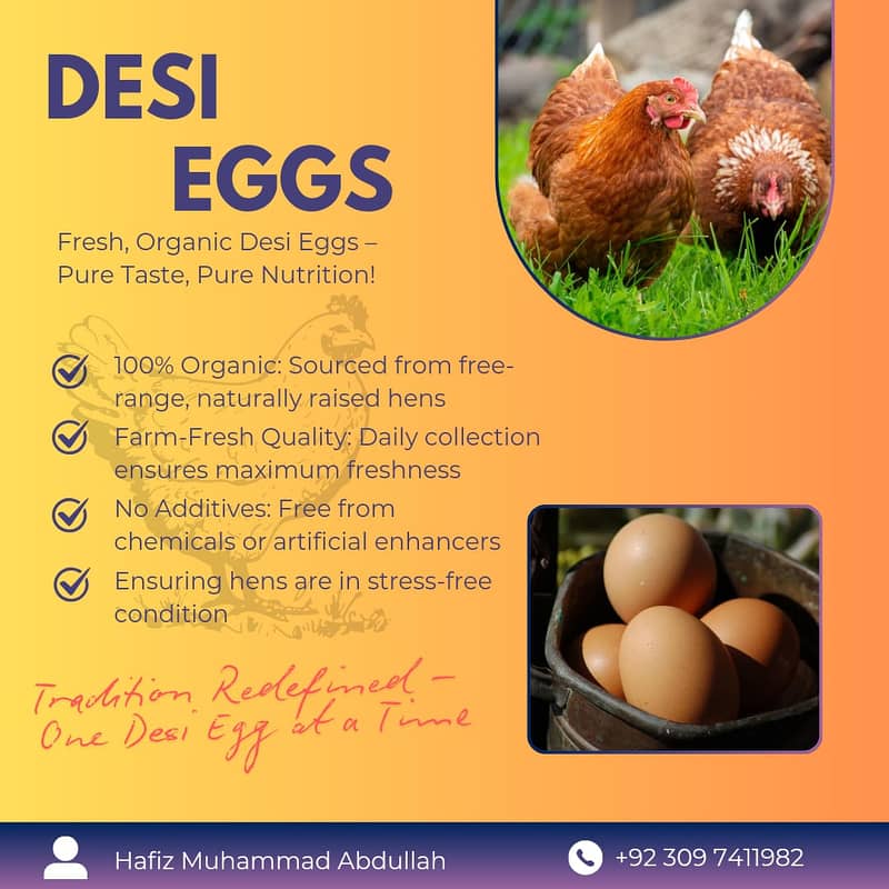 pure desi eggs available 2