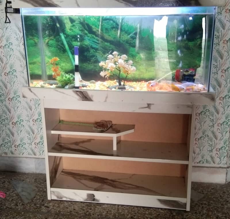 Fish Aquarium with 14 Gold Fish Full Set 1