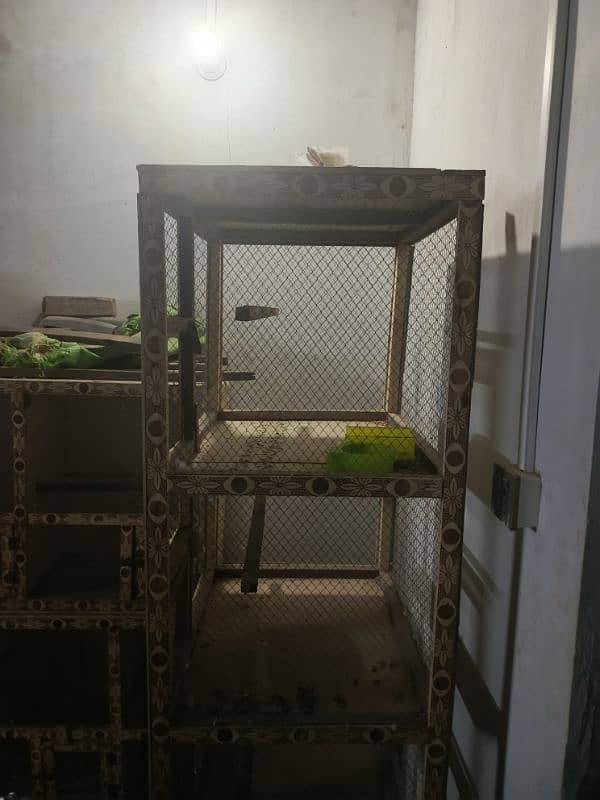 Common Cockatiel (Eno) Wooden Cage 10